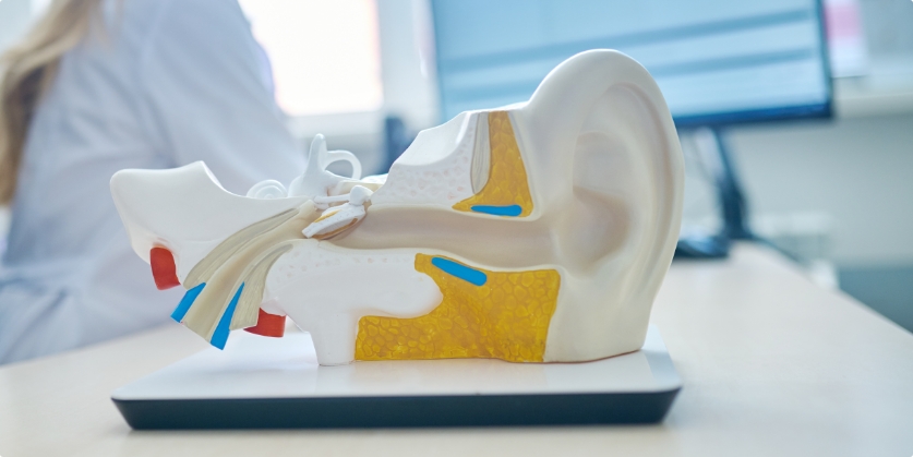 audiology Blog